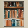 English Bookshelf, Kent